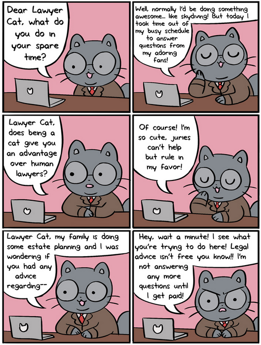 Ask Lawyer Cat It's Law!