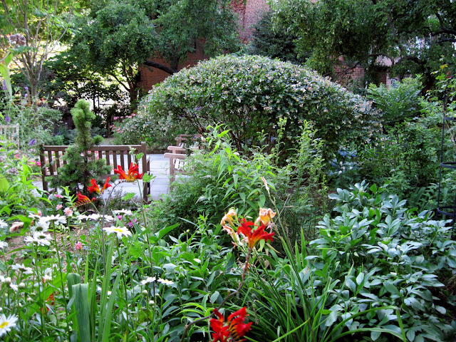 The Barrow Street Garden at the Gardens of Saint Luke in the Fields is adorned with beautiful orange flowers