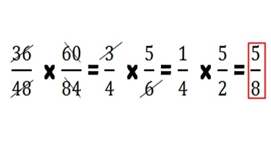 Cara Sederhana Mengalikan Berbagai Bentuk Pecahan Pada Matematika SD - Lima  Klik
