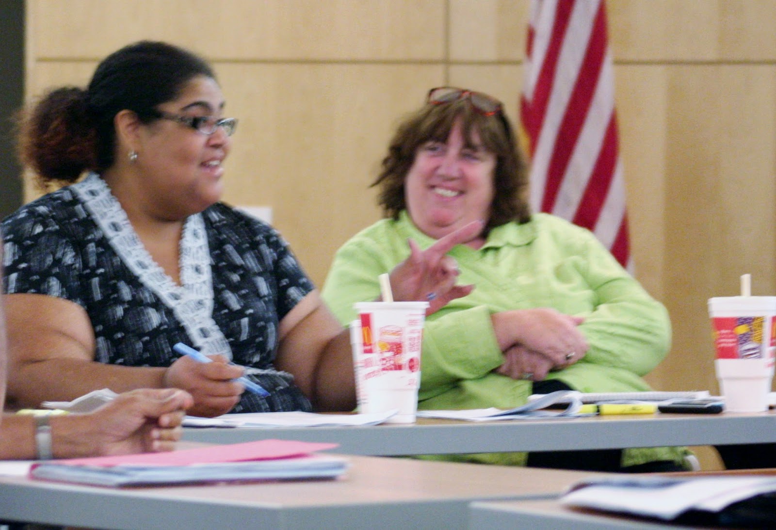 Sauk Village, Illinois FEDERAL INVESTIGATION HAS THE VILLAGE