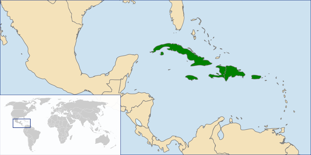 Chichinguaco (Greater Antillean Grackle) Quiscalus niger