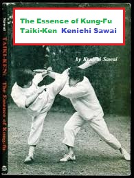 kung fu taiki ken by kenichi sawai