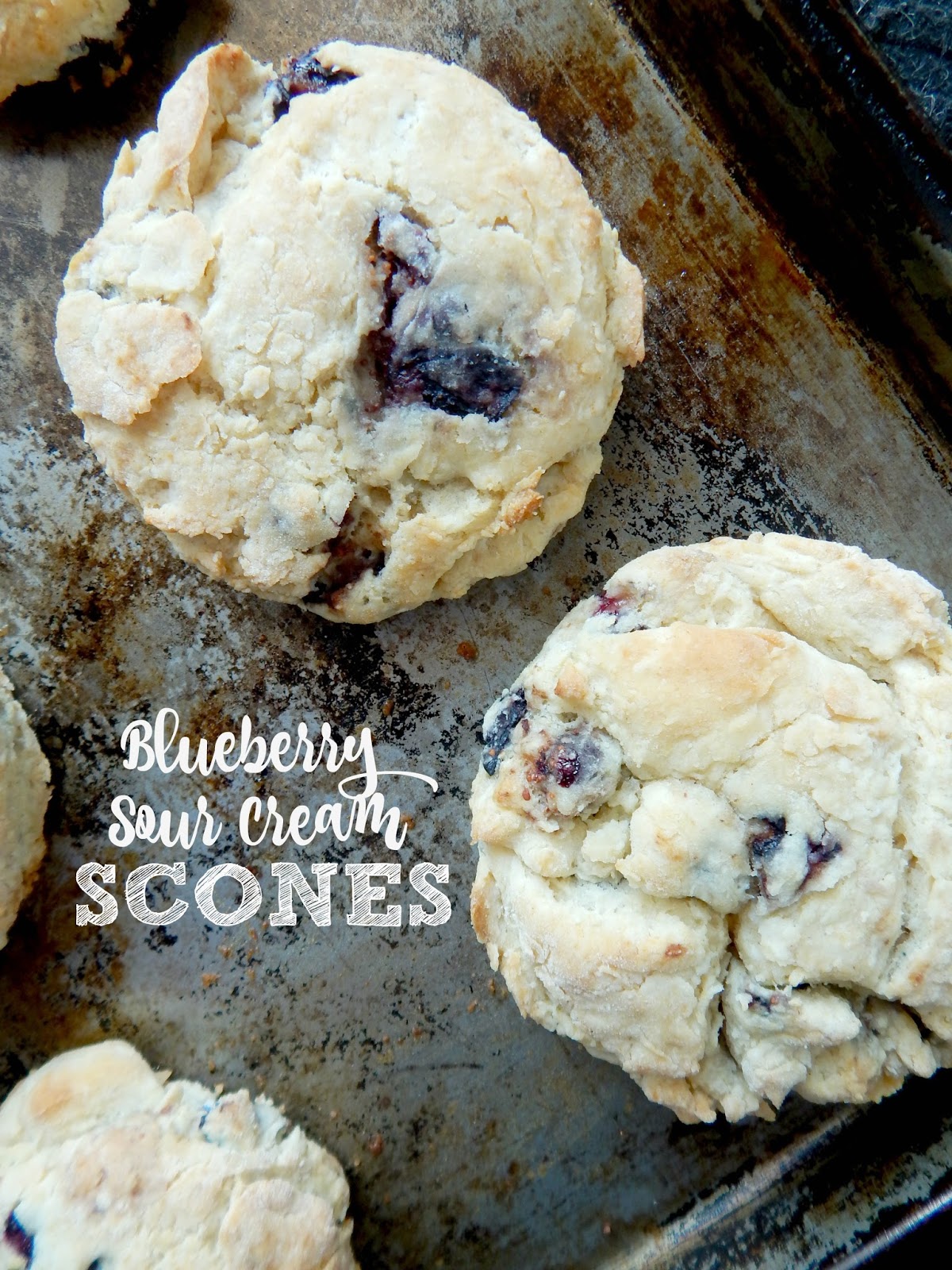 Blueberry Sour Cream Scones Ally's Sweet & Savory Eats