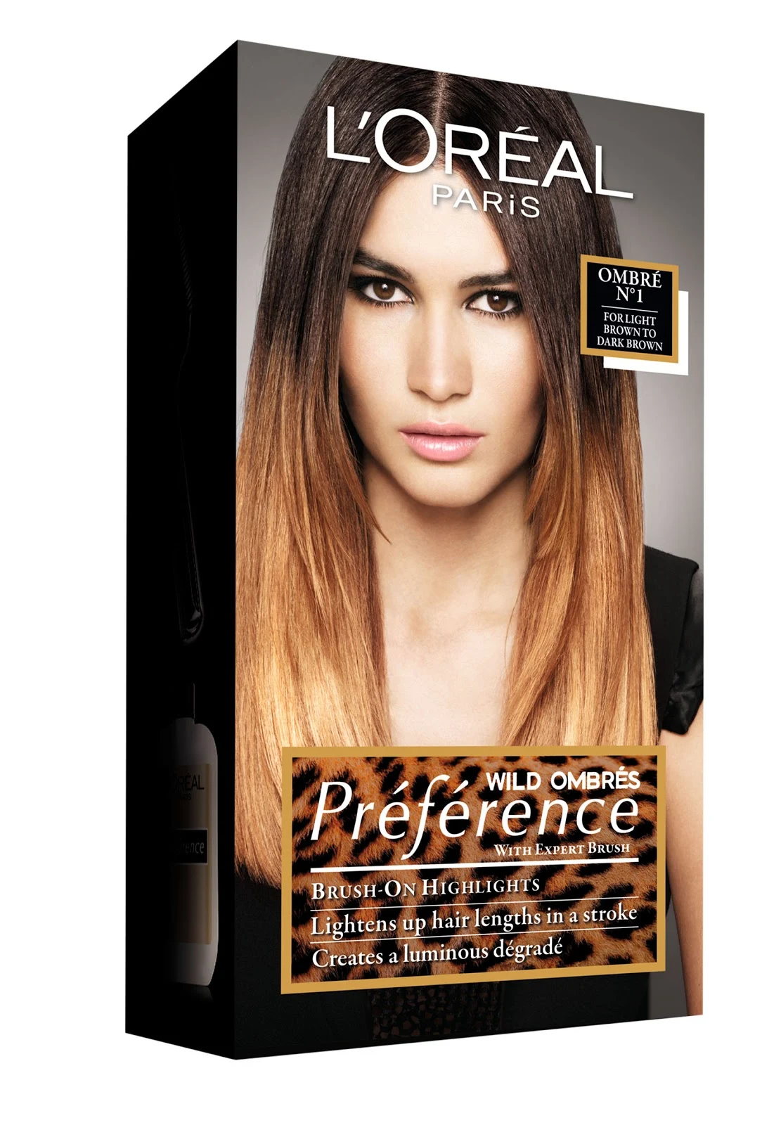 Amazing Loreal Ombre Landscape Illustration Amazing Loreal Ombre Landscape Illustration