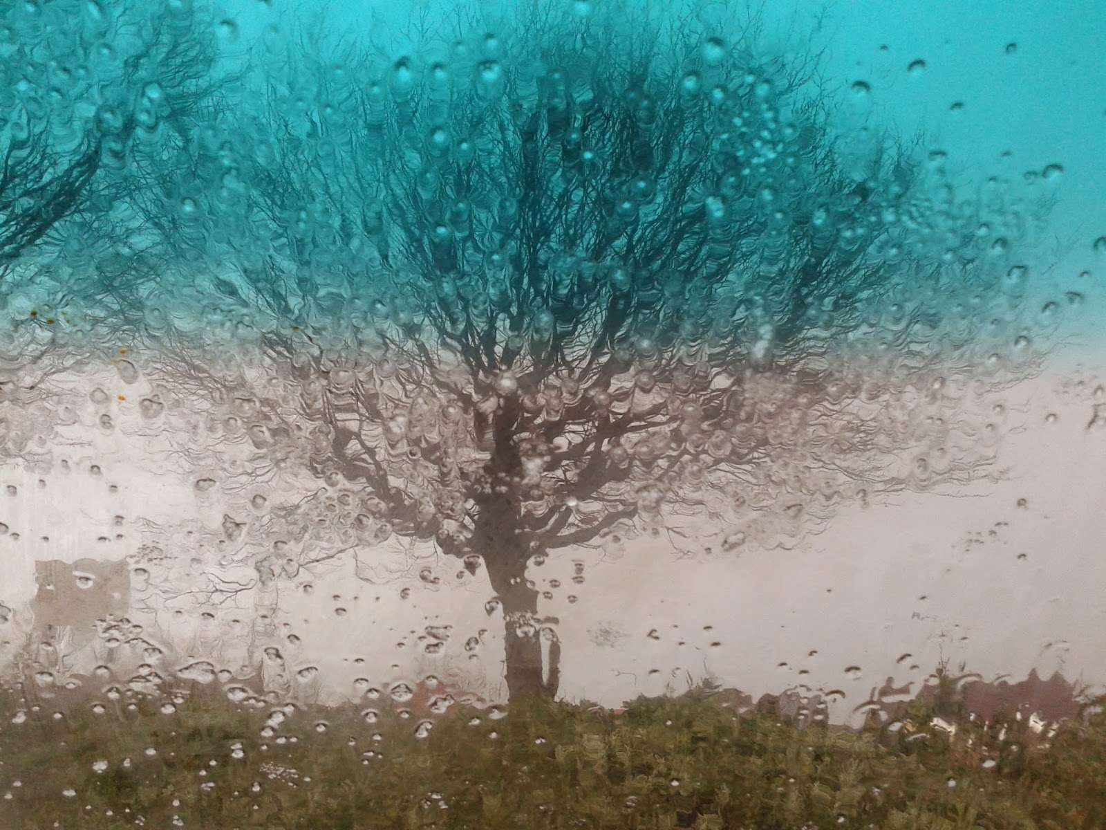 A Rainy Day through a Car Windscreen