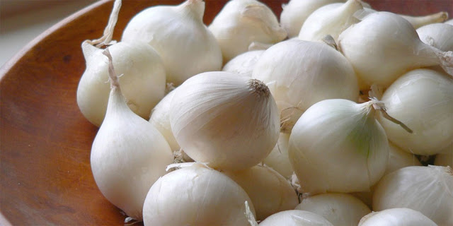 gambar bawang putih manfaat bawang putih untuk kesehatan dan kecantikan