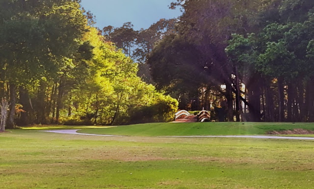A bridge for golf carts on the course at Cypress Lakes Resort, Lakeland Florida.