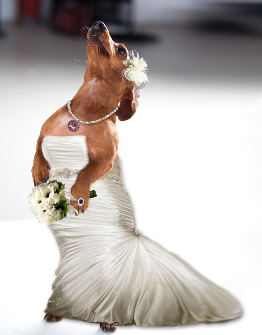 Wally The Tube The Tube weighs in on the Royal Wedding Who’s Not Invited!