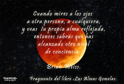 almas gemelas amor frases brian bellas conciencia niveles weiss mas alla