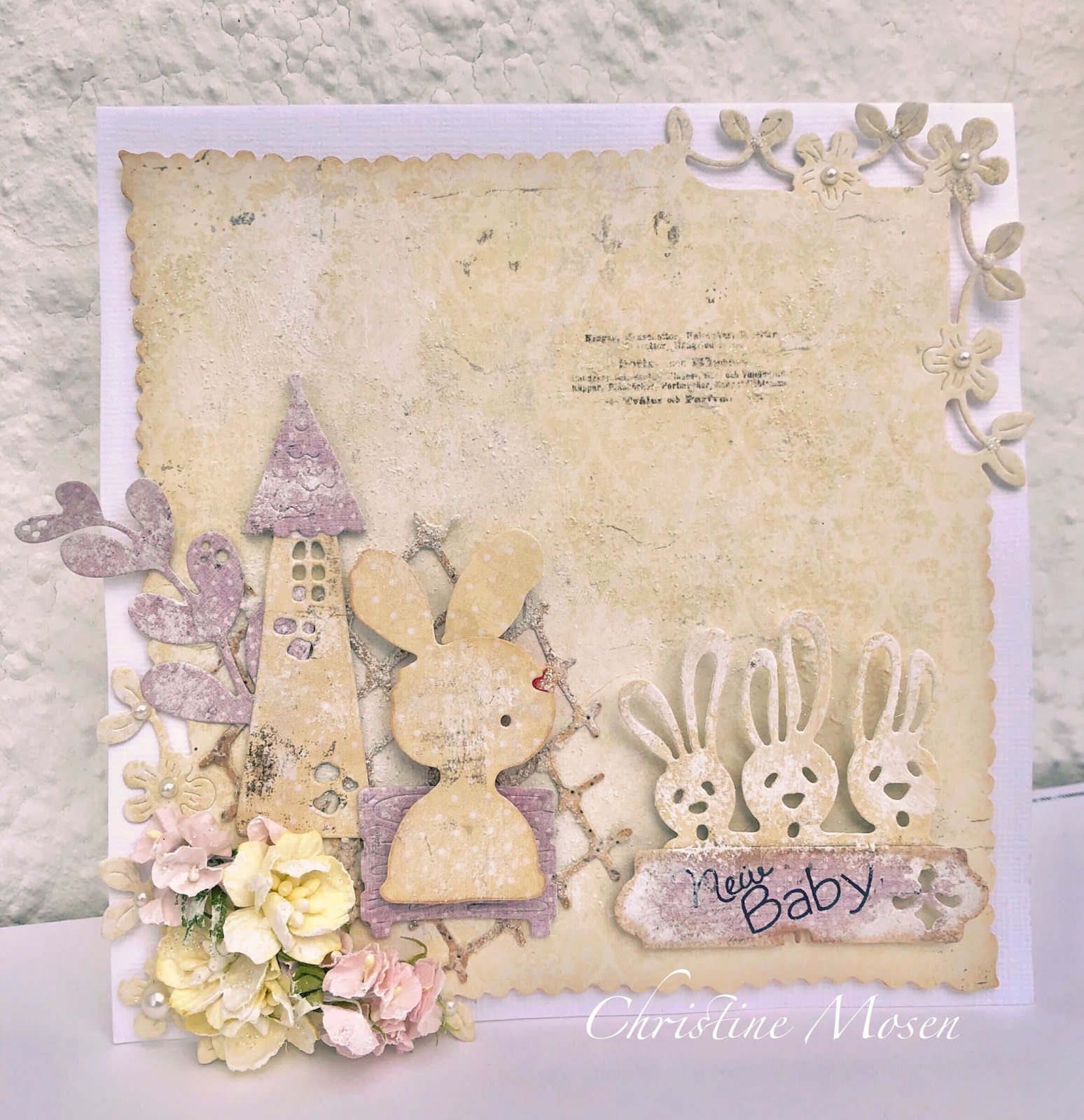 De 13 Beste Bildene For Milestone Cards Milepael Kort Babykort