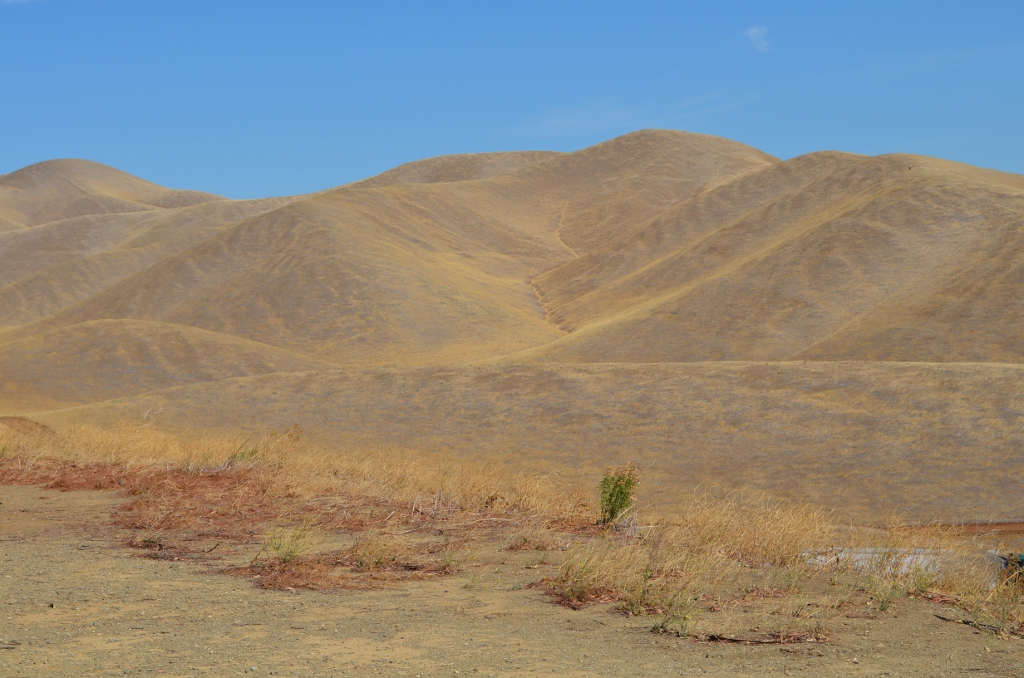 biostatprof Golden Hills of San Luis Res