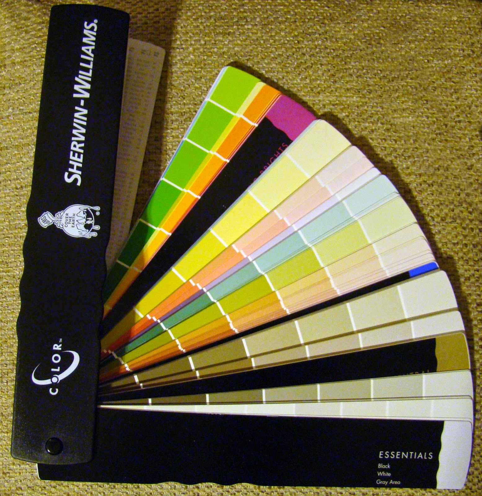 studio-campagna-what-color-system-is-on-your-palette