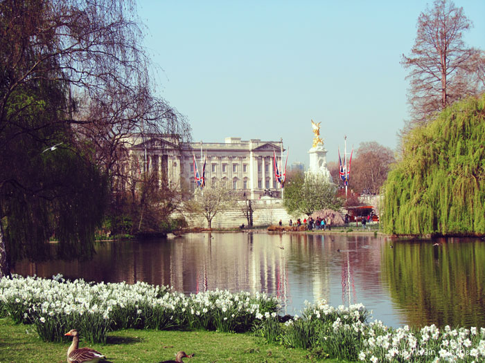 Londres en Semana Santa de hace dos años. El Buckingham Palace desde sus jardines, que están muy cerca de St. James Park un parque que no te puedes perder si vas a Londres.
