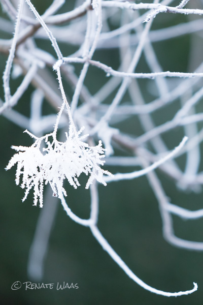 Reise Ostbayern Artikel Aus 2016 Und Fruher