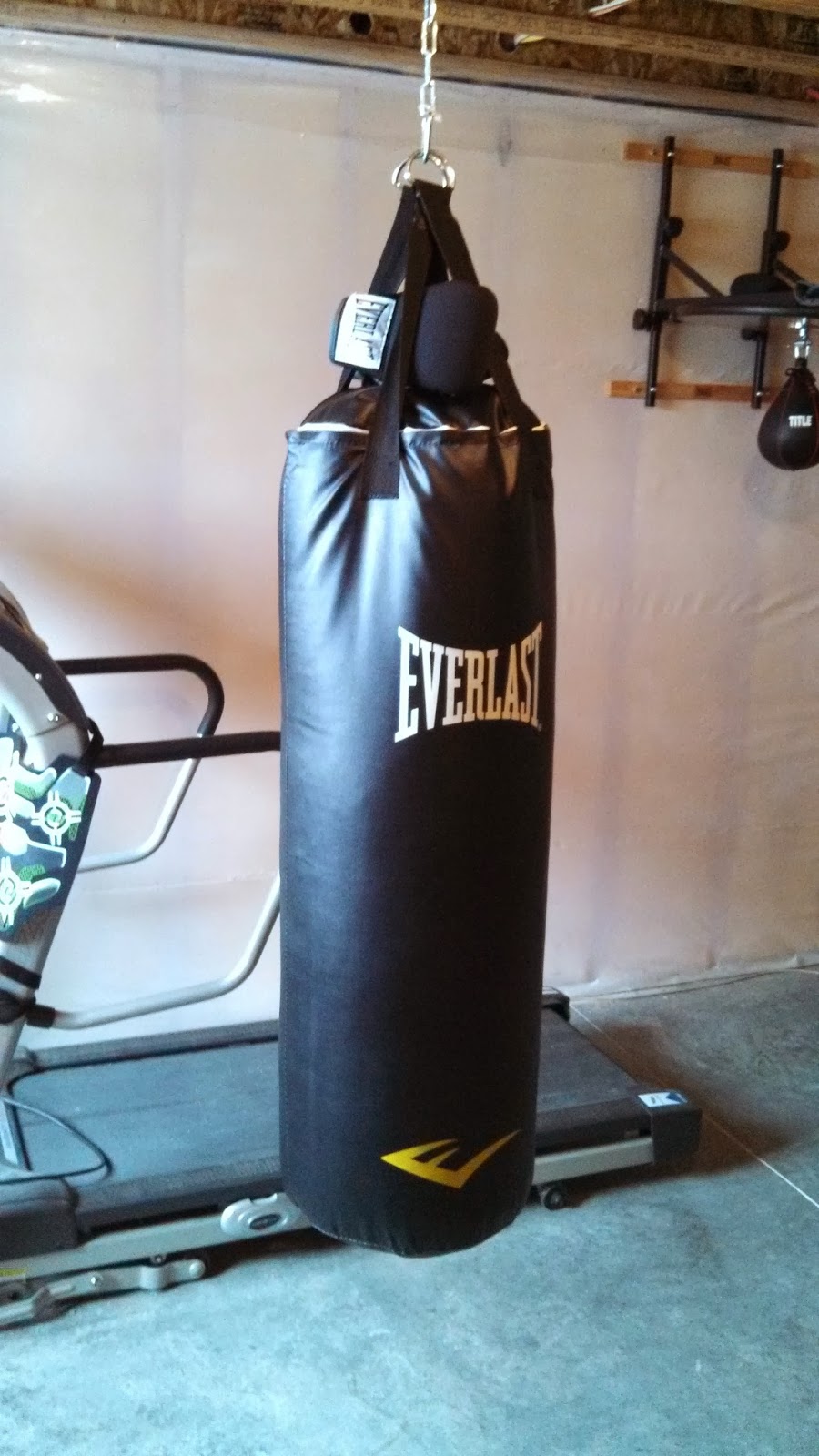 Everlast Punching Bag: Heavy Bag and Speed Bag | Penny Pincher Journal