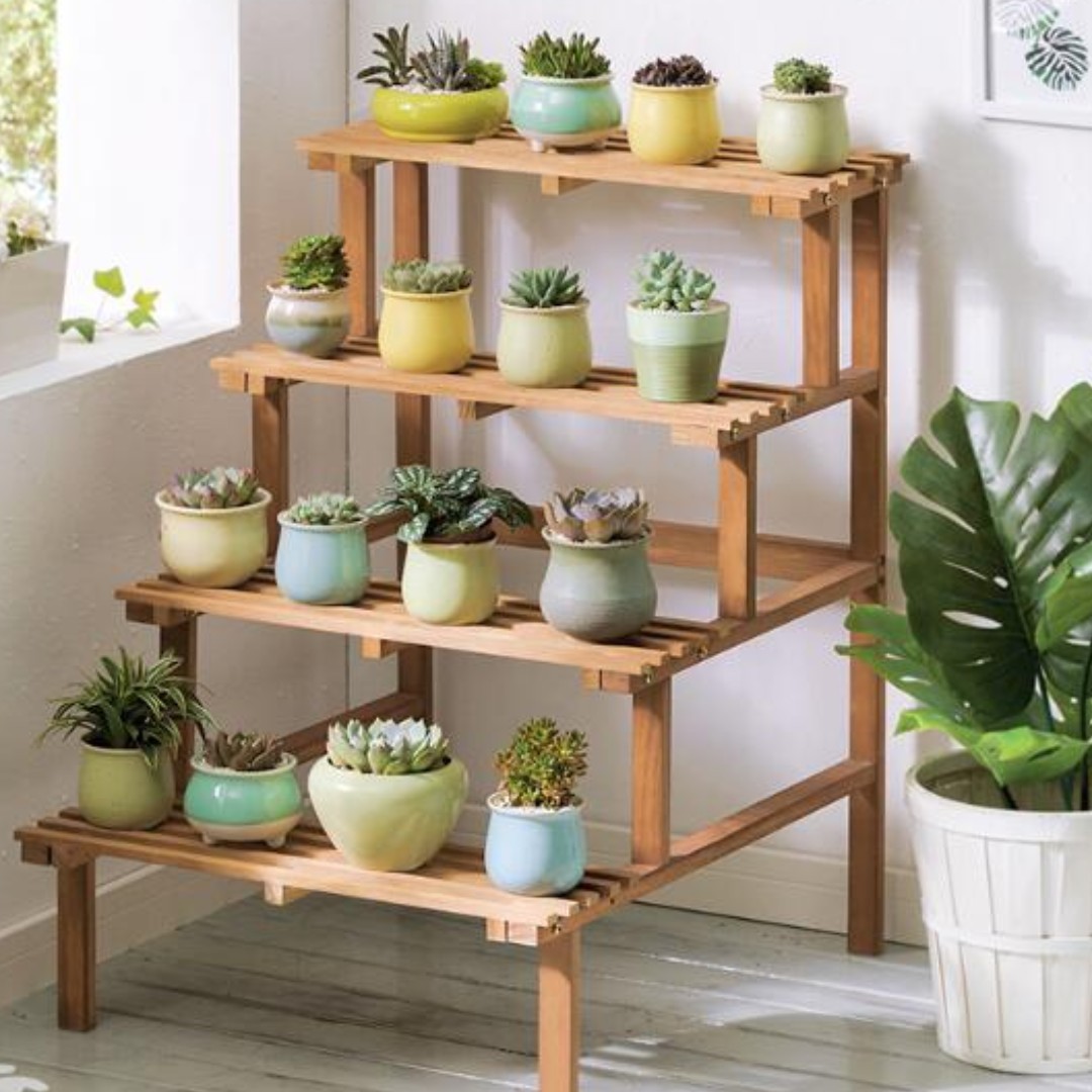 Gambar rak tanaman sekolah