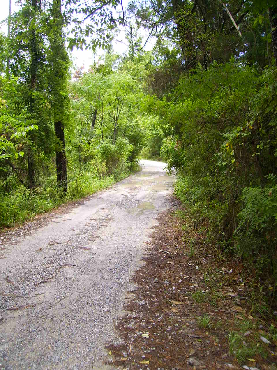 Ocean Springs 365 The Hidden Magic Of Shearwater Pottery