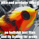 Pike and Prédator Flies