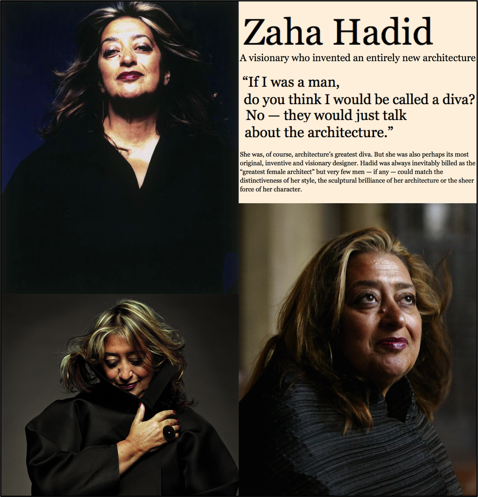Interesse Privado Acção Pública Zaha Hadid 