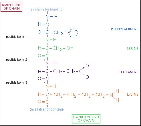 Fireworld: Formation of protein.