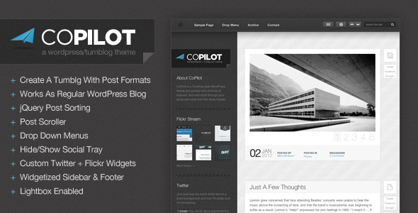 CoPilot wordpress theme free download.
