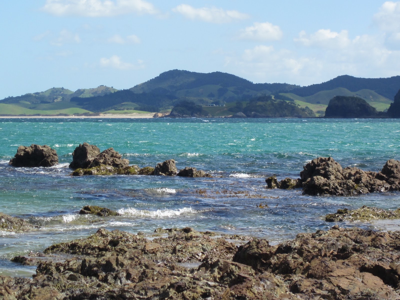 Alison in Aotearoa/ New Zealand Why is New Zealand so beautiful?