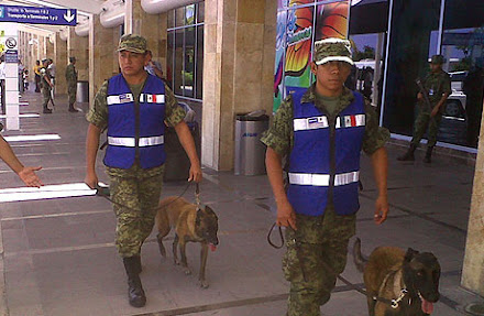 Falsa alarma de bomba activa protocolo de seguridad en Aeropuerto de Cancún; número telefónico tiene reporte de 24 llamadas similares