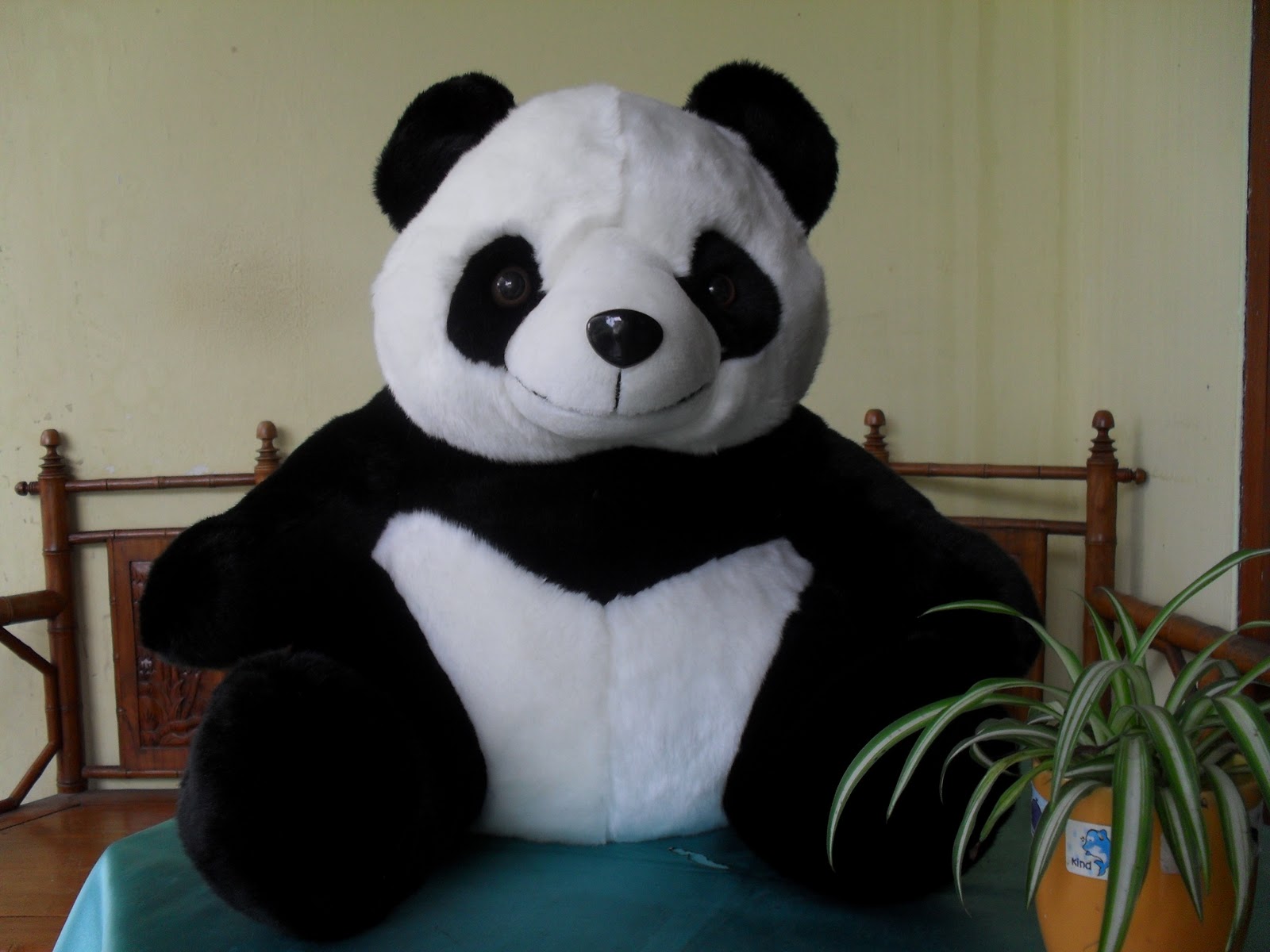 gambar boneka panda