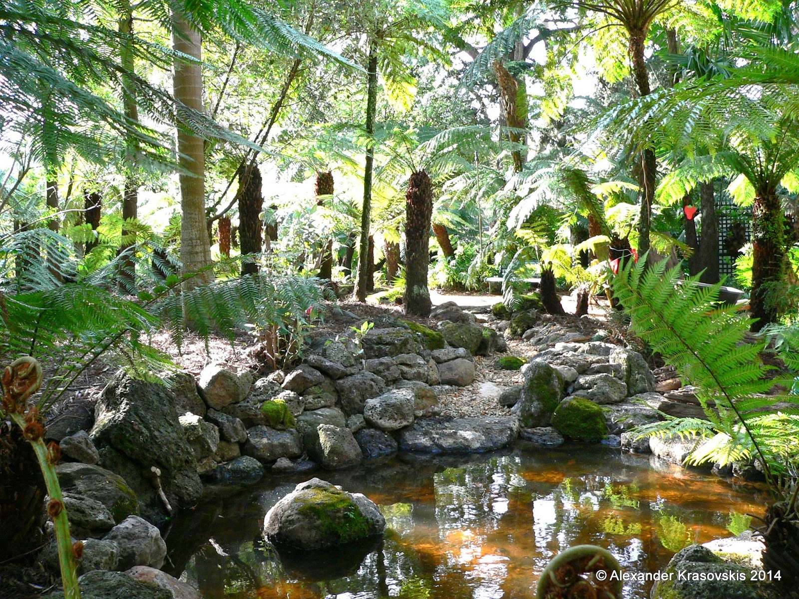 Aggregata Plants & Gardens Visit to the Geelong Botanic Gardens in