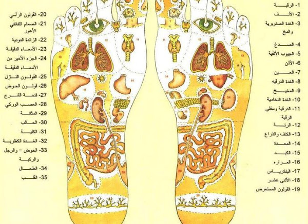 نتائج طبية مذهلة عند وضع قطعه من البصل داخل جوربك