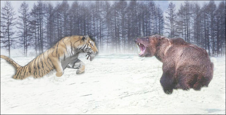 cobertura nuez maquinilla de afeitar León contra oso - Wikifauna, Blogger de Google: León vs oso pardo, polar, de kodiak, los osos más grandes del mundo cobertura nuez maquinilla de afeitar León contra oso - Wikifauna, Blogger de Google: León vs oso pardo, polar, de kodiak, los osos más grandes del mundo