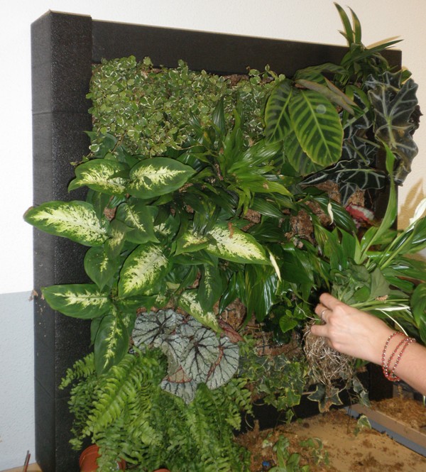 Blog de Paisajismo Herba Nova: 1/06/13 - 1/07/13