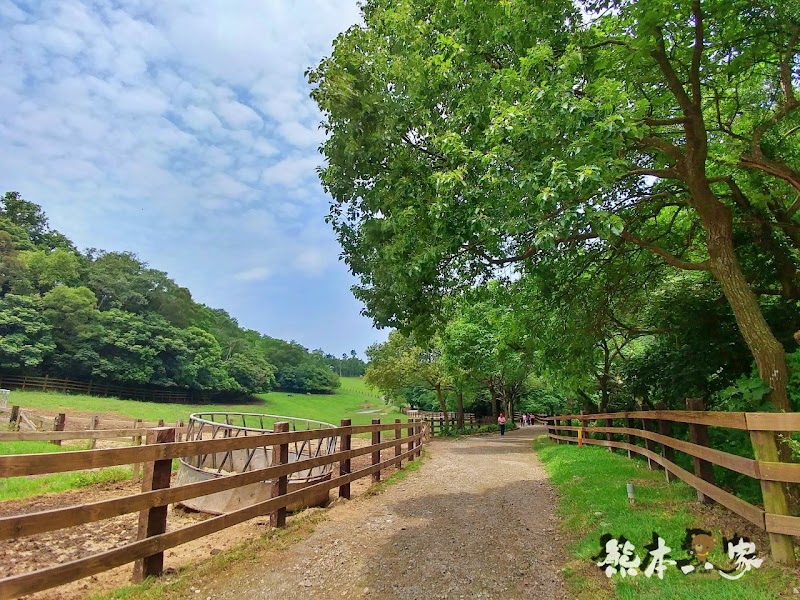 一秒到歐洲|苗栗飛牛牧場|最美牧場和大草原~野餐嬉戲觀乳牛、人工濕地護自然