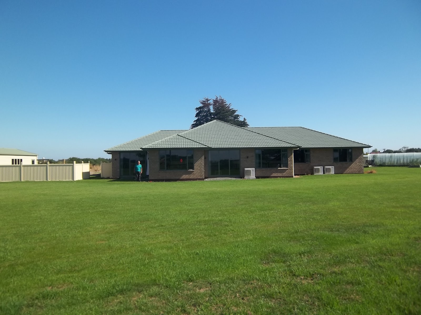 kiwibird Wallacetown