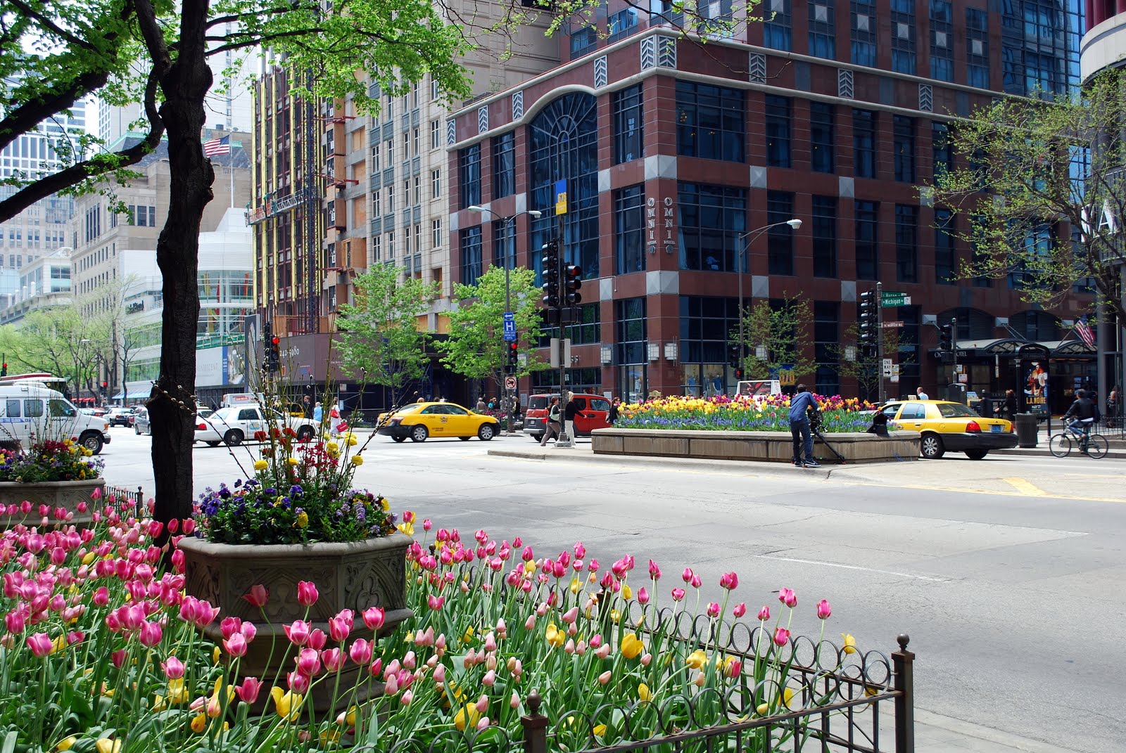 grilovogal Tulips on Chicago's Magnificent Mile