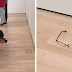Someone Put Glasses On Museum Floor And Visitors Thought It Was Art