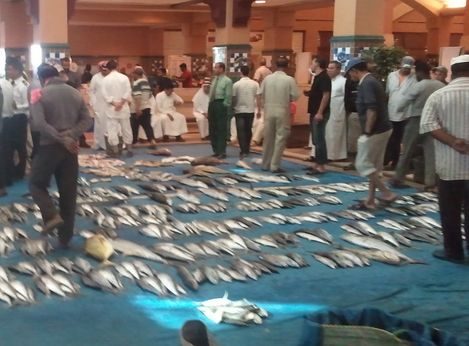 Travels, Experiences, and Opinions 16APR Sat Fish Market Kuwait