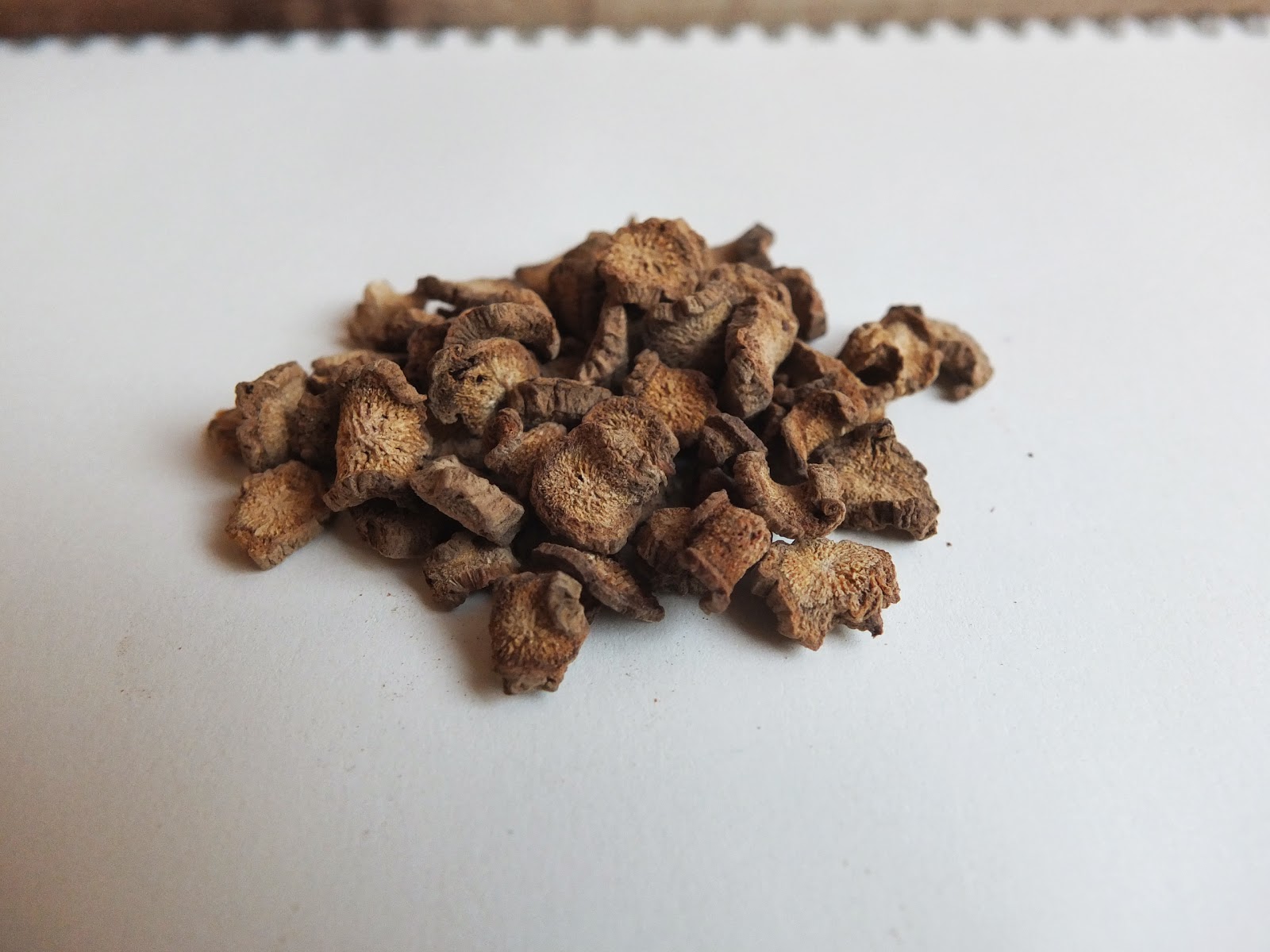travelling teapot: Burdock Root Tea