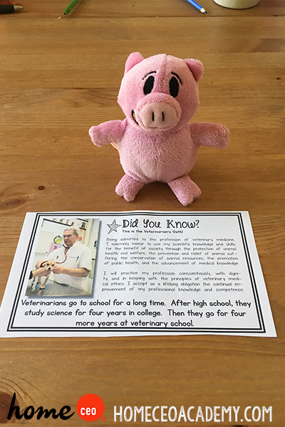 https://www.teacherspayteachers.com/Product/Veterinarian-Community-Helper-Week-27-Age-4-Preschool-Homeschool-Curriculum-2659326