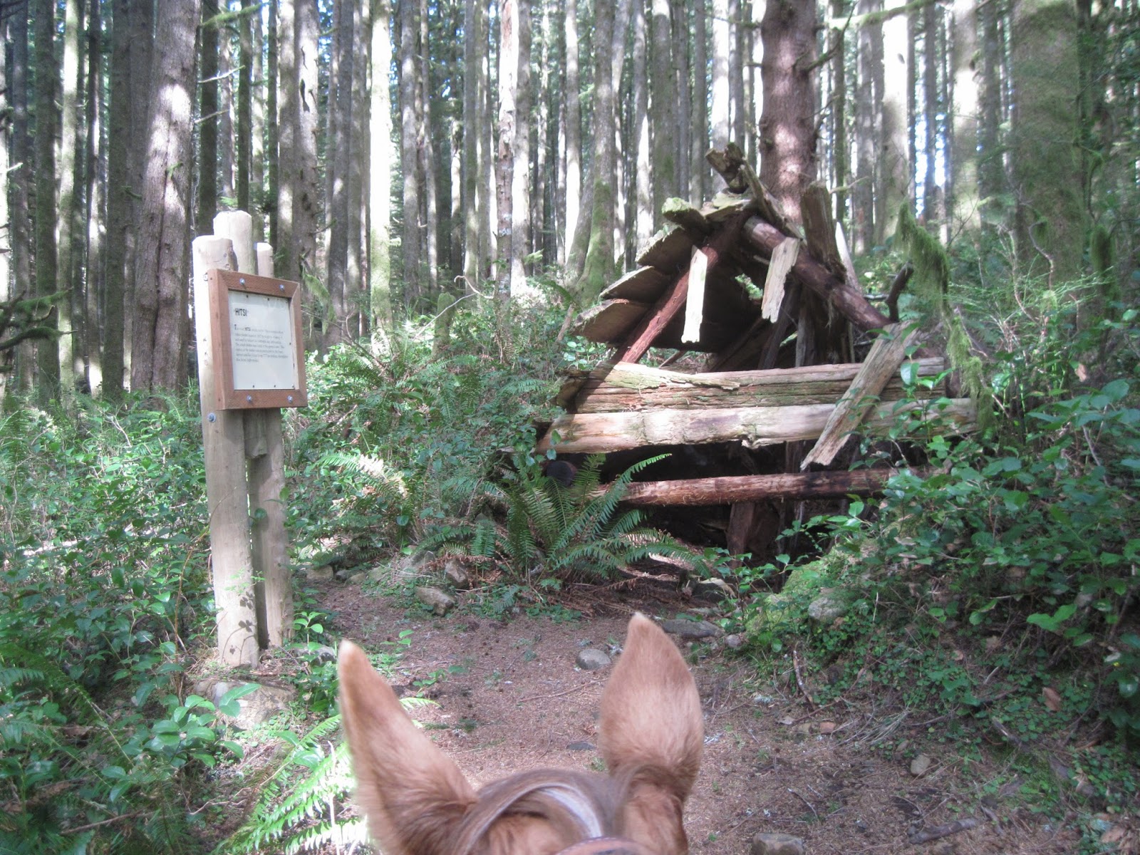 Holly's Horse Tales and Trails Baker Beach Horse Camp and the Cape