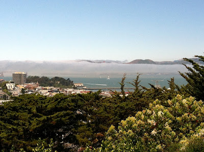 View From Coit Tower