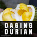 Gudang Daging Durian Medan Maidanii di Kutacane