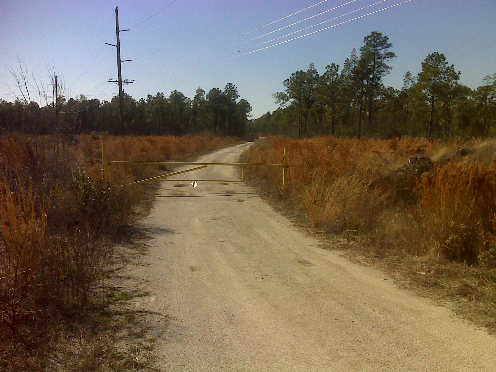 Heart and Sole Beach to Stones Creek Game Land, MST day 7