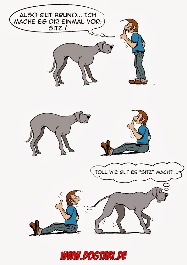 Dog Training Cartoon Pictures Dog Training Cartoon Pictures