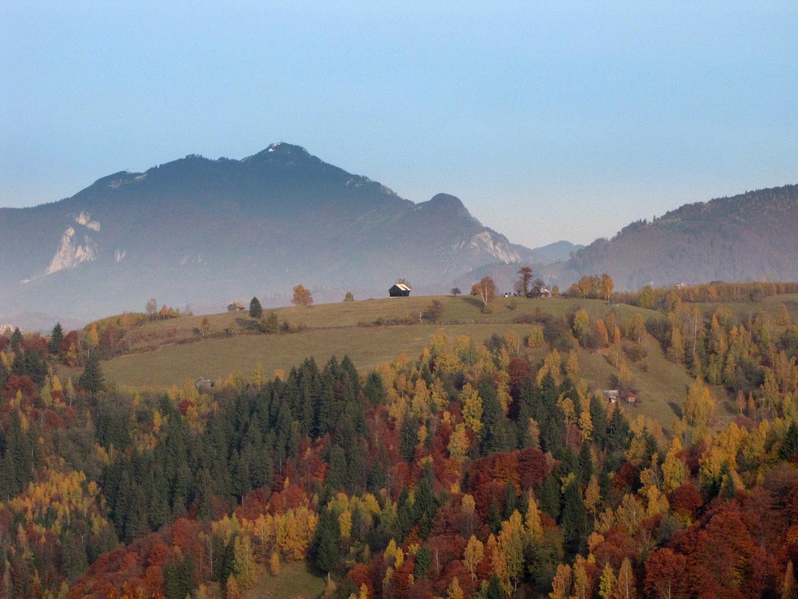 Hobby De Mamica Photo Responsabilitate Sociala Si Altele 