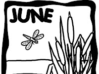 June - World’s Important Days