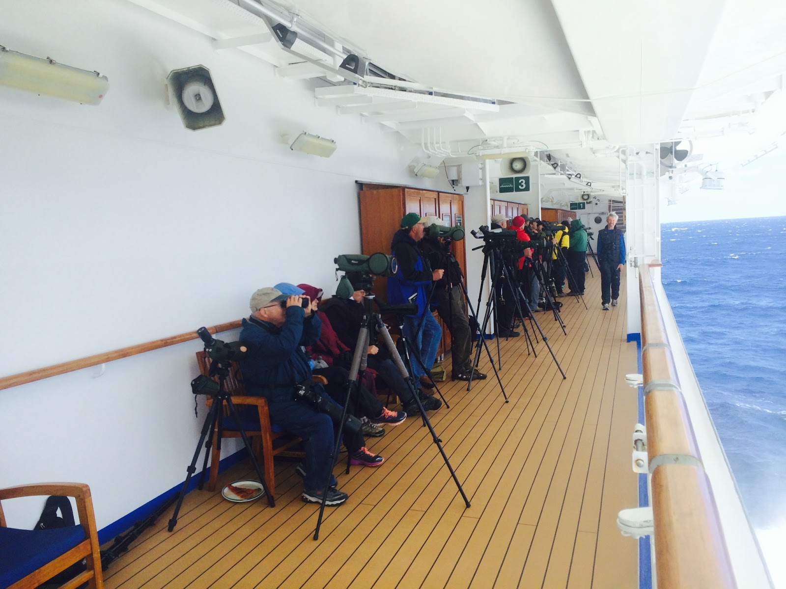 The Speckled Hatchback Post 65 West Coast Cruise Ship Pelagic Tons Of Info