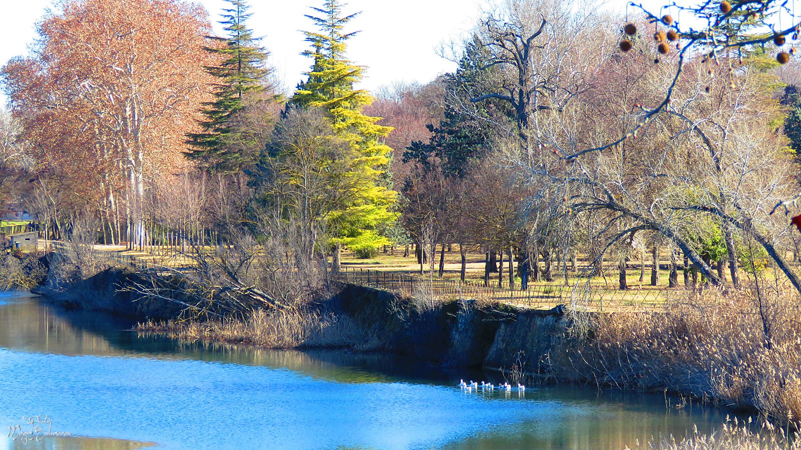 RÍO TAJO Y JARDÍN DE LA ISLA | IMÁGENES DE ARANJUEZ