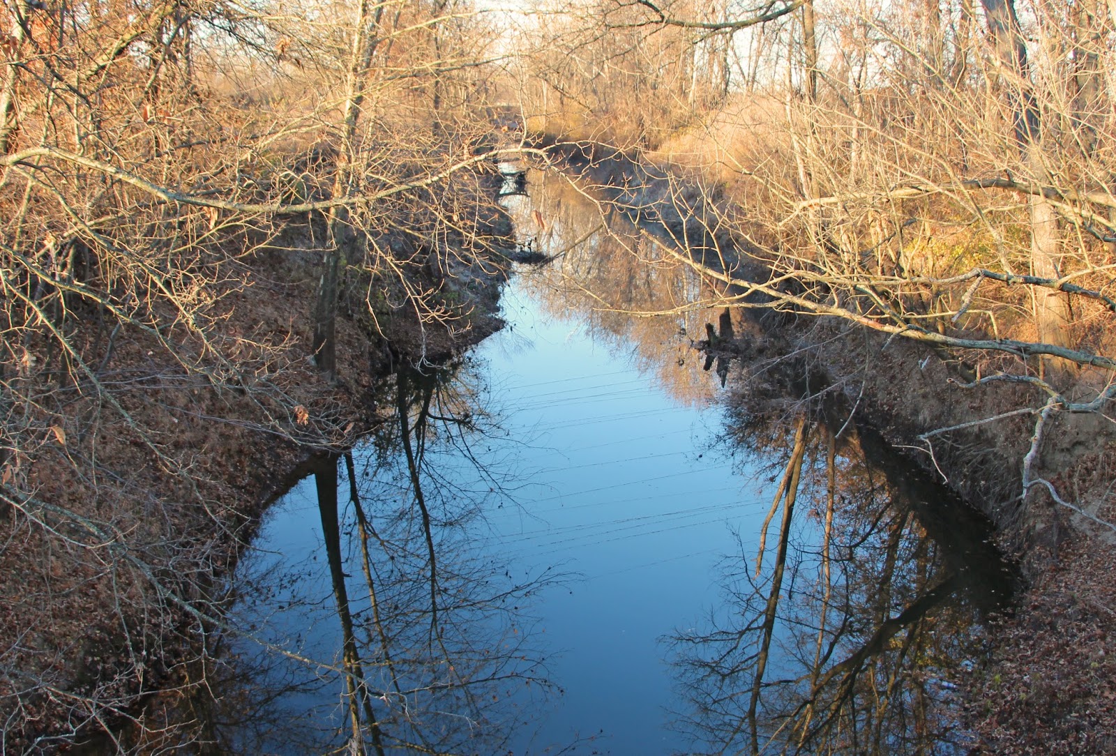 Out and About the Midwest Early Morning Visit to Legacy Park in