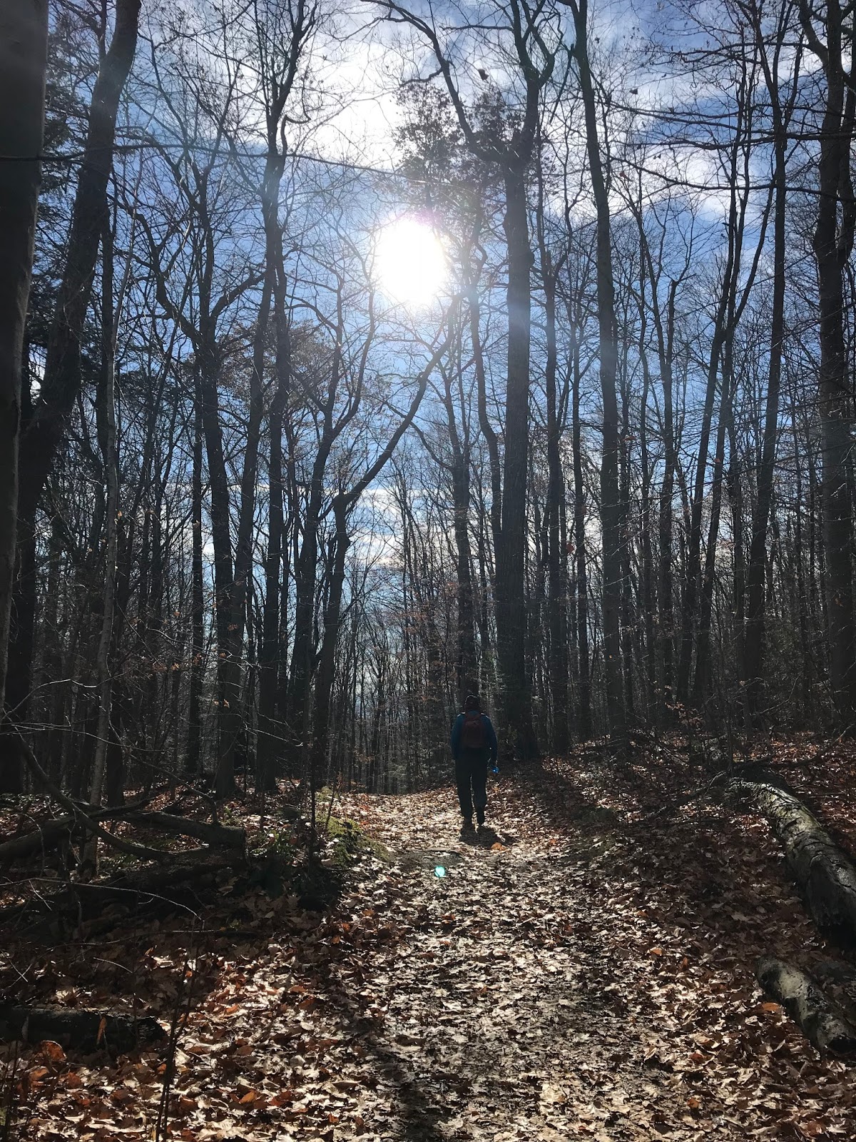 Outdoorsy Mama & LOtL Photography Snake Mountain and the Snowy Owl. Vermont USA travel 